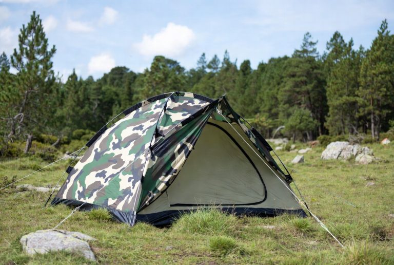 Ozark vs Coleman Tent