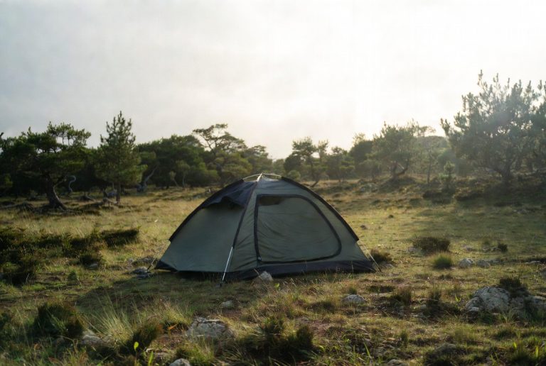 Ozark vs Coleman Tents