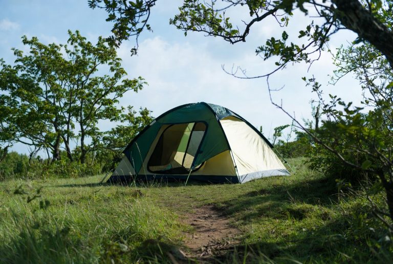 Pole Tent vs Frame Tent for Wedding