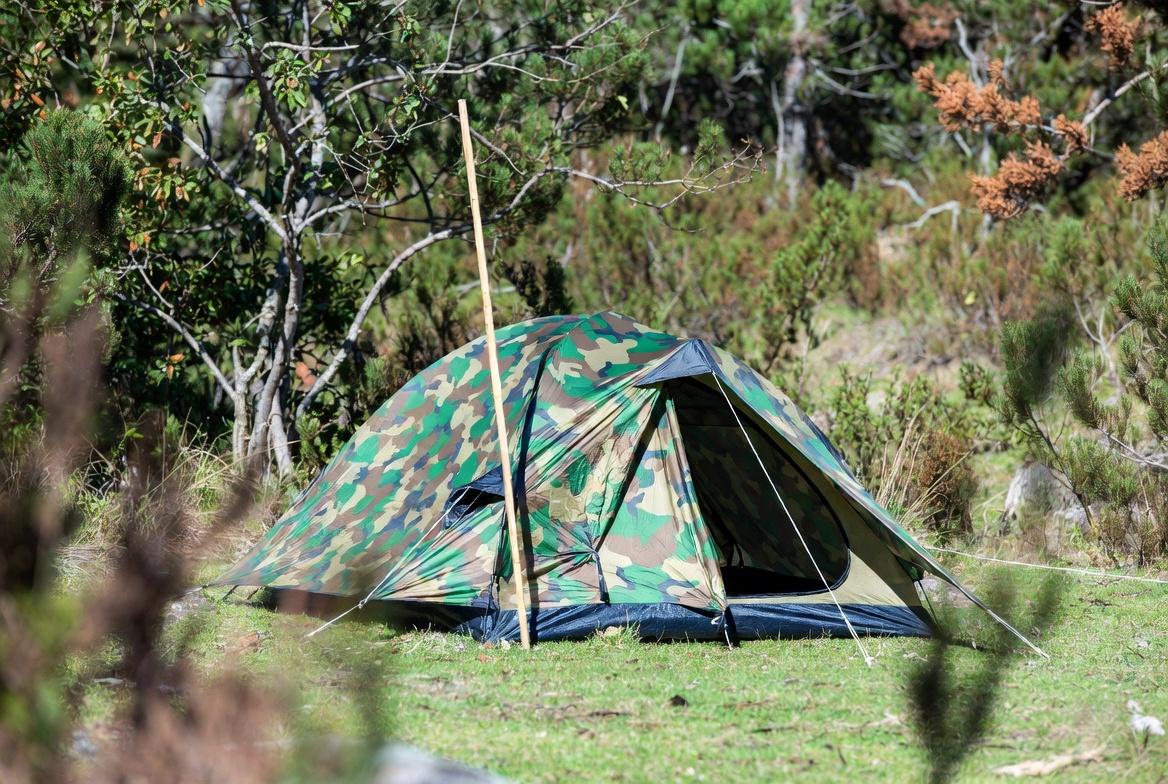 Pop Up Tent vs Pole Tent