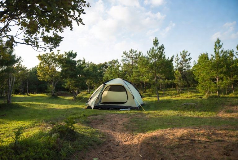 Porcelain vs Stainless Steel Heat Tent