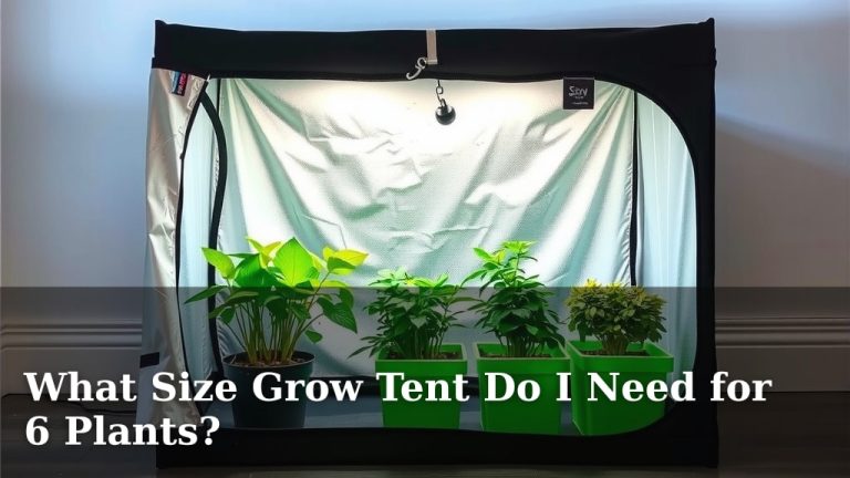 What Size Grow Tent Do I Need for 6 Plants?