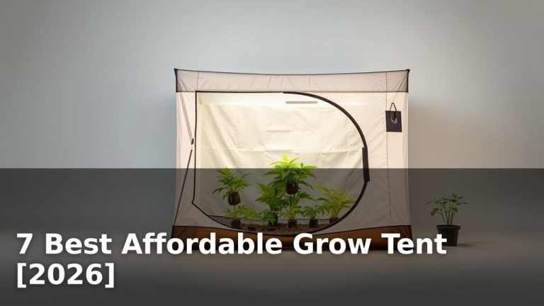 7 Best Affordable Grow Tent [2026]