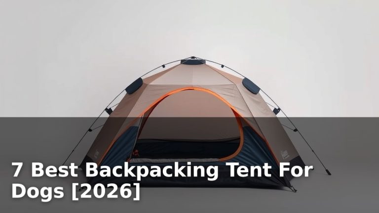 7 Best Backpacking Tent For Dogs [2026]