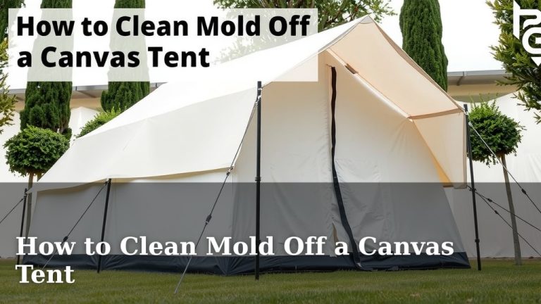 How to Clean Mold Off a Canvas Tent