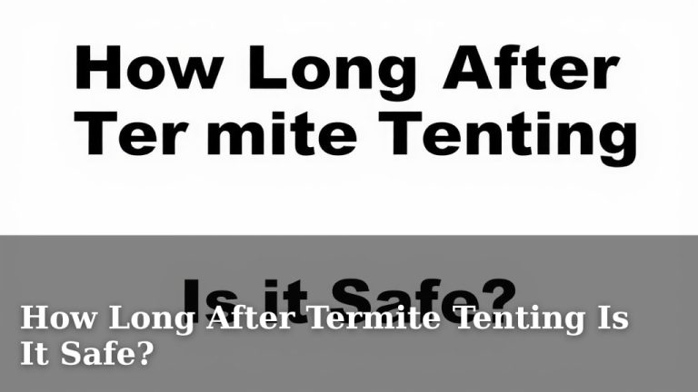 How Long After Termite Tenting Is It Safe?