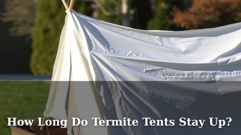 How Long Do Termite Tents Stay Up?