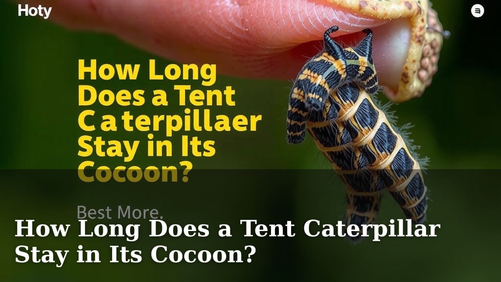 How Long Does a Tent Caterpillar Stay in Its Cocoon?