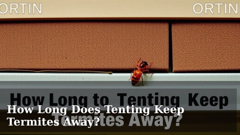 How Long Does Tenting Keep Termites Away?