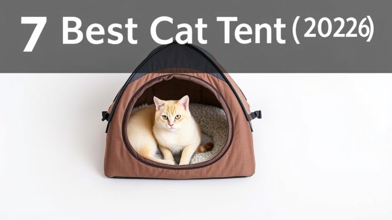 7 Best Cat Tent [2026]